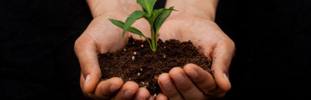Image https//blogsconstantcontactcom/wp-content/uploads/2013/02/Plantjpg Why Small Businesses Need to Have and Grow an Email Contact List