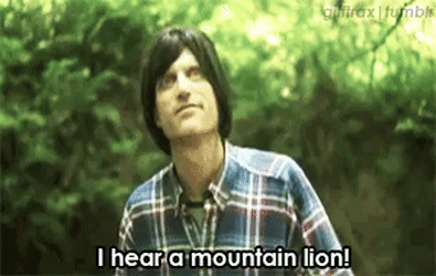 Image result for birdemic i hear a mountain lion gif