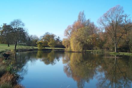 InfrequentUser's profile