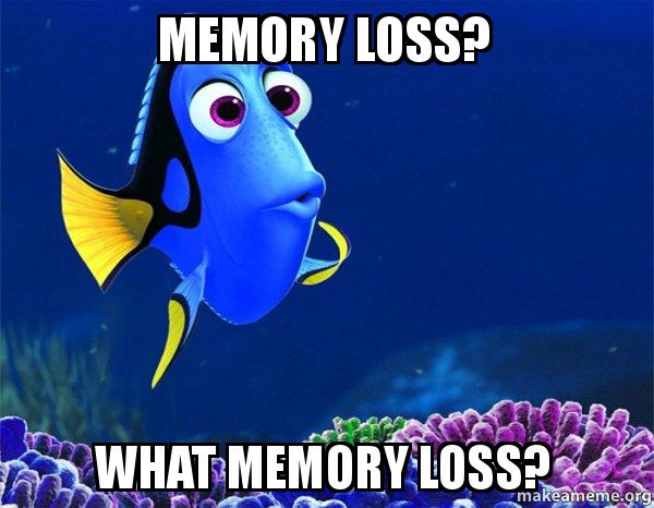 Memory loss what memory loss - Dory from Nemo 5 second memory 