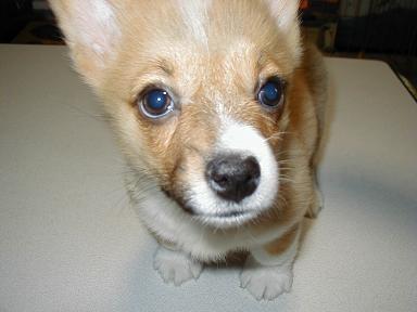 marvel_21c's profile