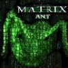 antdude's profile