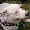 barney_trubble's profile