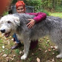 bernadette_lynch_maskery's profile