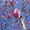 RobottHouse's profile
