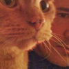 michael_haines_7989643's profile