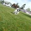 toni_leigh_6133244's profile