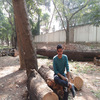 siddharth_ray's profile