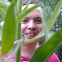 silverbacknet's profile