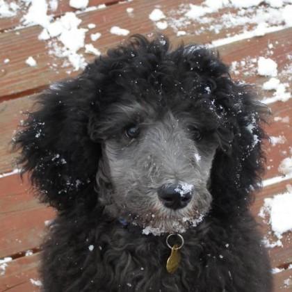 claytoncarney claytoncarney's profile