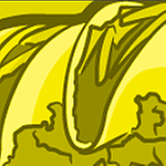 lealeelu's profile