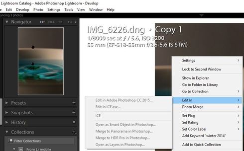 Lightroom Edit In Menu Unselectable And Nik Plugins Not Loaded Adobe Photoshop Family