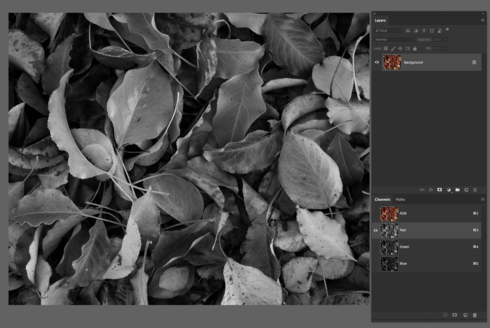 Image https//d2r1vs3d9006apcloudfrontnet/s3_images/1668130/RackMultipart20171101-105522-f2uog7-Screen_Shot_2017-11-01_at_40142_PM_inlinepng1509570226