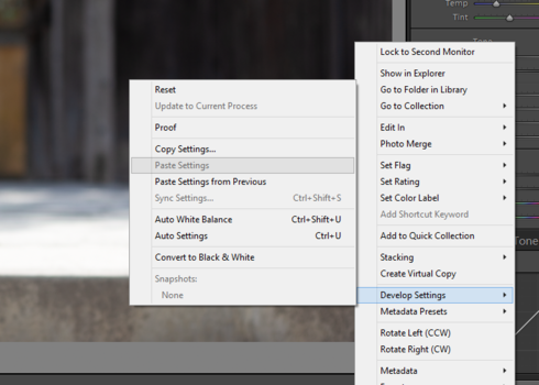 Lightroom Classic Copy Paste Develop Settings Doesn T Work Adobe Photoshop Family