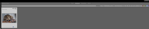 Image httpsd2r1vs3d9006apcloudfrontnets3_images1748123RackMultipart20180825-118769-1g2zpt6-Screen_Shot_2018-08-25_at_23856_PM_inlinejpg1535230784