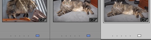 Image httpsd2r1vs3d9006apcloudfrontnets3_images1748120RackMultipart20180825-62218-1ltkgbh-Screen_Shot_2018-08-25_at_23631_PM_inlinejpg1535230352