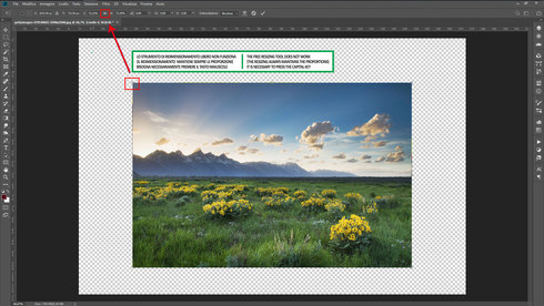 Immagine httpsd2r1vs3d9006apcloudfrontnets3_images1765799RackMultipart20181206-106160-bjimrc-resize-free_inlinejpg1544107069