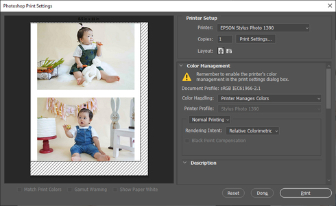 epson printer profiles for photoshop cc