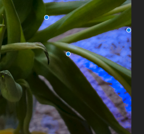 Image httpsd2r1vs3d9006apcloudfrontnets3_images1775092RackMultipart20190201-100939-gged4t-Lightroom_Brush_inlinepng1549024156