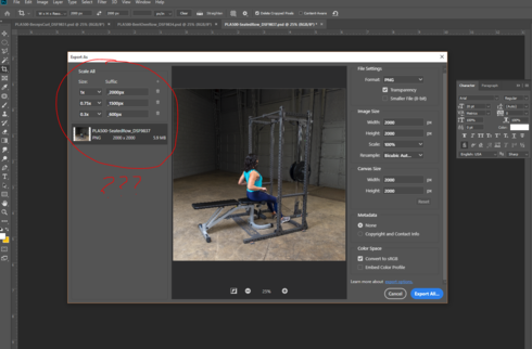 Image https//d2r1vs3d9006apcloudfrontnet/s3_images/1777801/RackMultipart20190220-83665-4i5y5e-Capture_inlinePNG1550678247