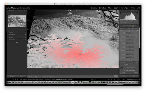 Image httpsd2r1vs3d9006apcloudfrontnets3_images1803688RackMultipart20190822-79692-1mmvmcc-Screen-Shot-2019-08-22-at-24252-PM_inlinejpg1566500164