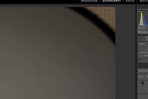 Image httpsd2r1vs3d9006apcloudfrontnets3_images1820054RackMultipart20200106-44404-19w2169-LR-Bug-001_inlinejpg1578325193
