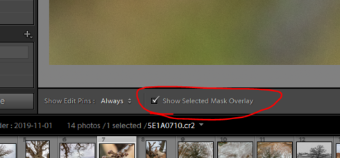 Lightroom Classic 9 3 Adjustment Brush Is Not Working Adobe Photoshop Family