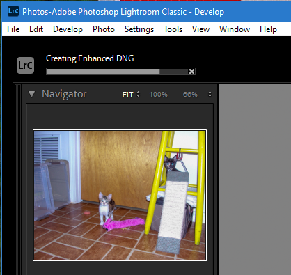 Lightroom Classic Locking Up During Creating Enhanced Dng For Anyone Else Adobe Photoshop Family
