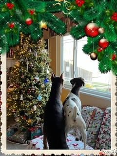 chunkymonkeyno1's profile