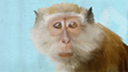 farnachjim's profile