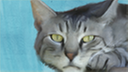 merlin2842's profile