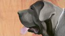 Rmf105's profile