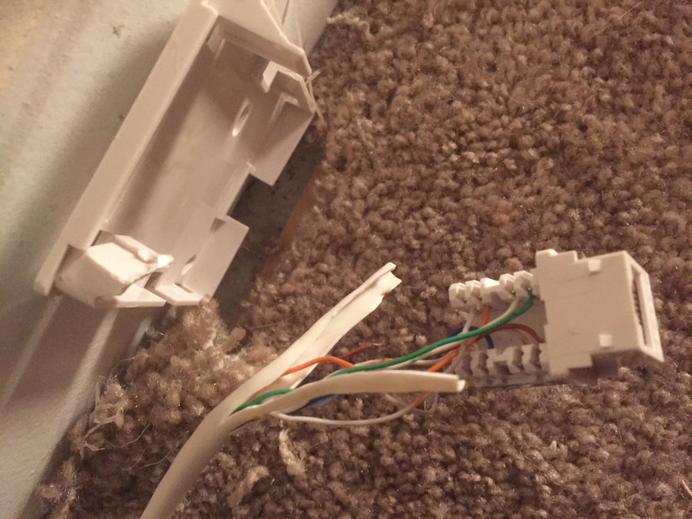 Dog chewed outlet cable wire