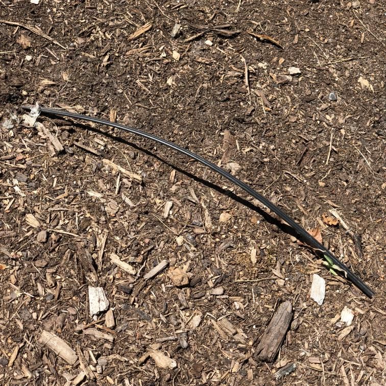 ‎Exposed Fiber Cable how to request service? AT&T Community Forums