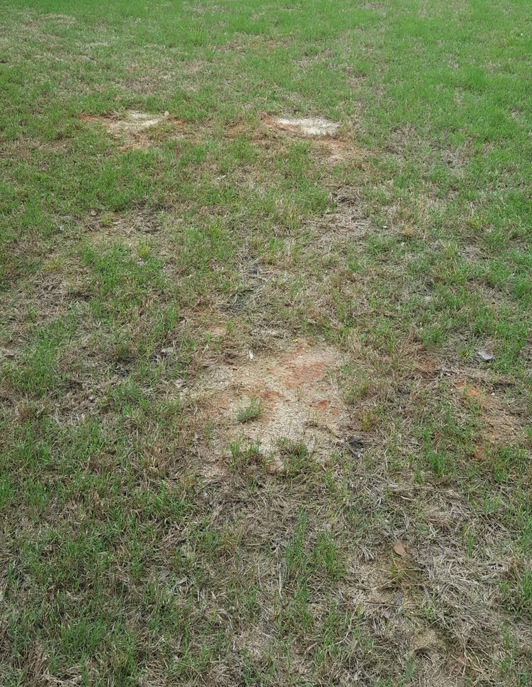 ‎Yard repair after fiber optic cable burial AT&T Community Forums