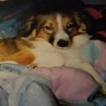 Grumpy1979's profile