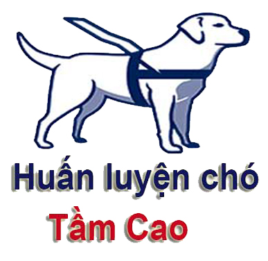 huanluyenchotamcao huanluyenchotamcao